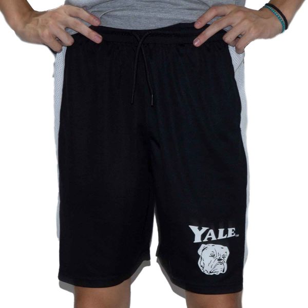 Park Fields Yale Vermuda Shorts M