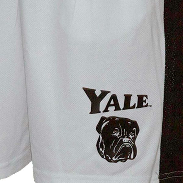 Park Fields Yale Vermuda Shorts M