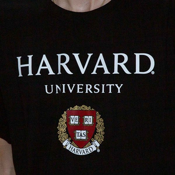 Park Fields Harvard T-Shirt M