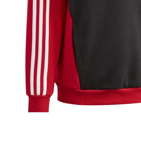 adidas Tiberio 3-Stripes Colorblock Fleece Hoodie Kids K