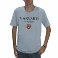 Park Fields Harvard T-Shirt M