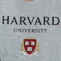 Park Fields Harvard T-Shirt M