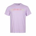 O'Neill Sanborn T-Shirt M