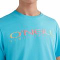 O'Neill Sanborn T-Shirt M