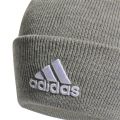 adidas Logo Beanie