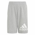 adidas Badge of Sport Shorts K