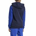 adidas Essentials Big Logo Colorblock Hoodie K