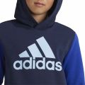 adidas Essentials Big Logo Colorblock Hoodie K